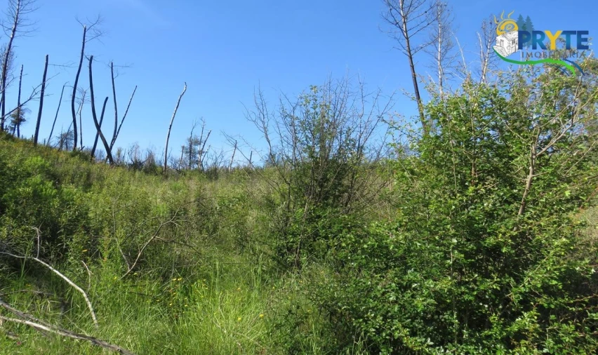 Terreno para Venda em Varzea dos Cavaleiros Foto 18