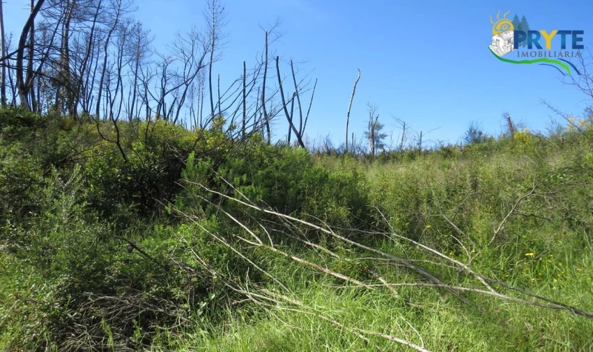 Terreno para Venda em Varzea dos Cavaleiros Foto 19