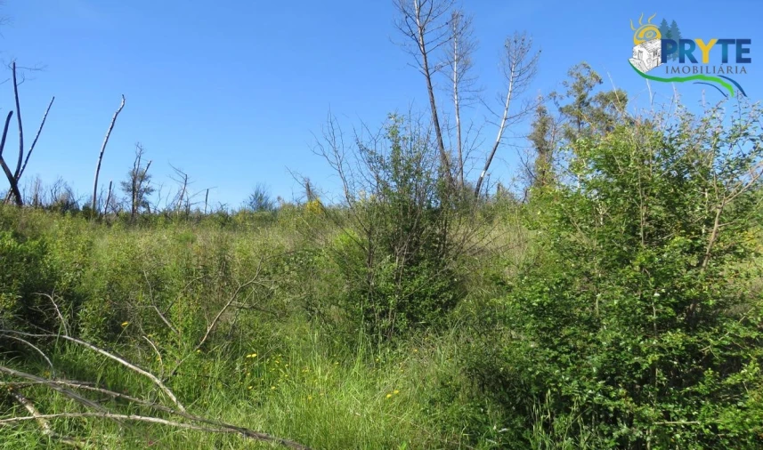Terreno para Venda em Varzea dos Cavaleiros Foto 20