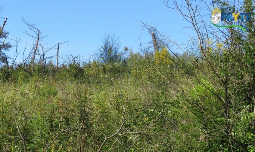 Terreno para Venda em Varzea dos Cavaleiros Foto 21