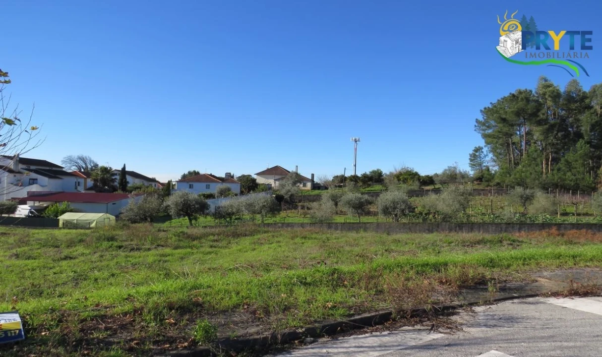 Terreno para Venda em Cernache do Bonjardim, Nesperal e Palhais Foto 5