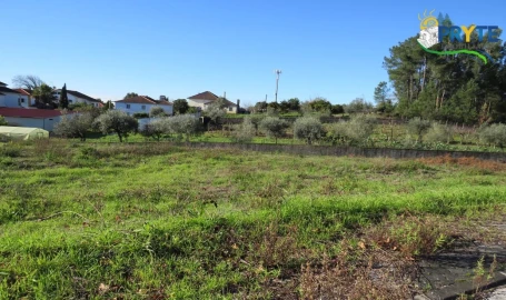Terreno para Venda em Cernache do Bonjardim, Nesperal e Palhais