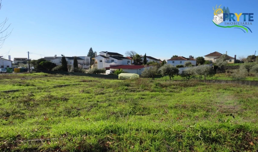 Terreno para Venda em Cernache do Bonjardim, Nesperal e Palhais Foto 1