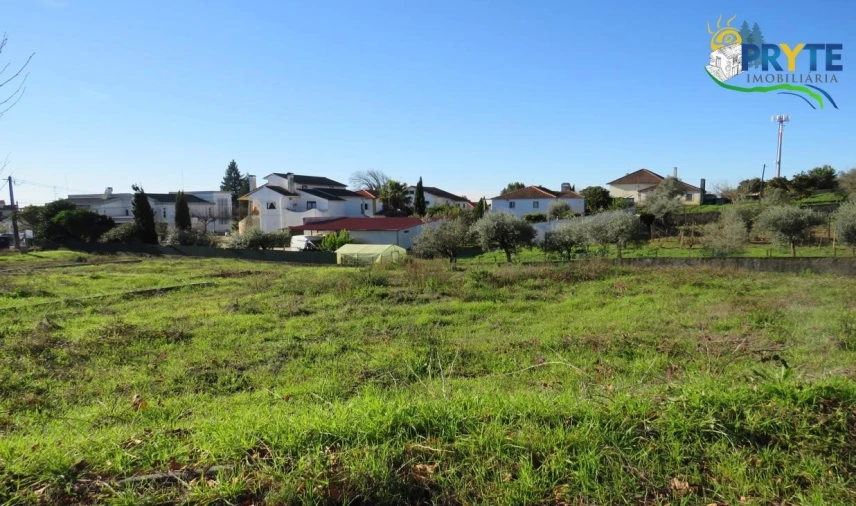 Terreno para Venda em Cernache do Bonjardim, Nesperal e Palhais Foto 3