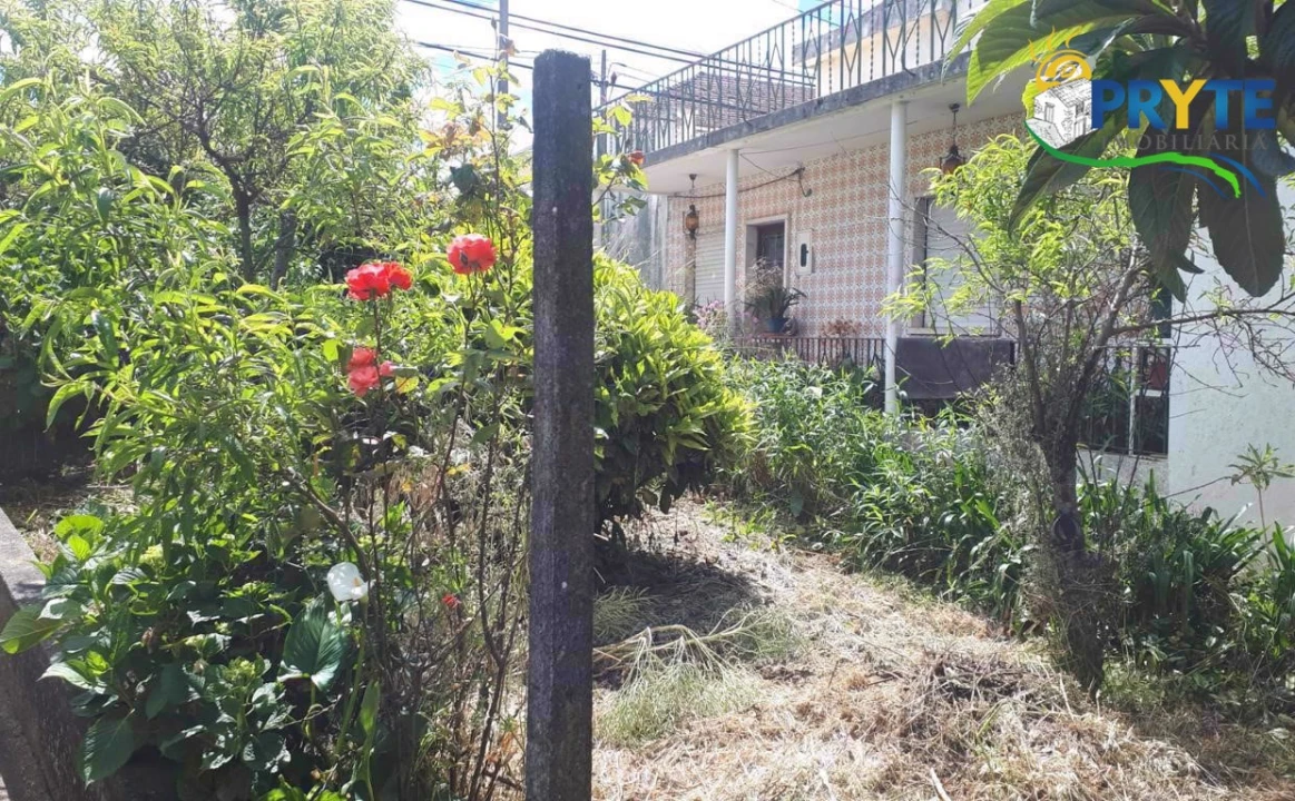 Quinta T3 para Venda em Cernache do Bonjardim, Nesperal e Palhais Foto 9