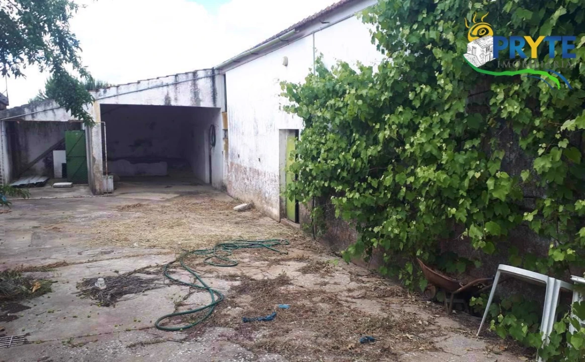 Quinta T3 para Venda em Cernache do Bonjardim, Nesperal e Palhais Foto 17