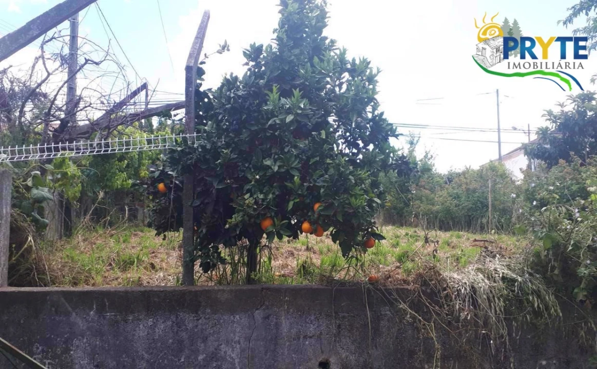 Quinta T3 para Venda em Cernache do Bonjardim, Nesperal e Palhais Foto 19