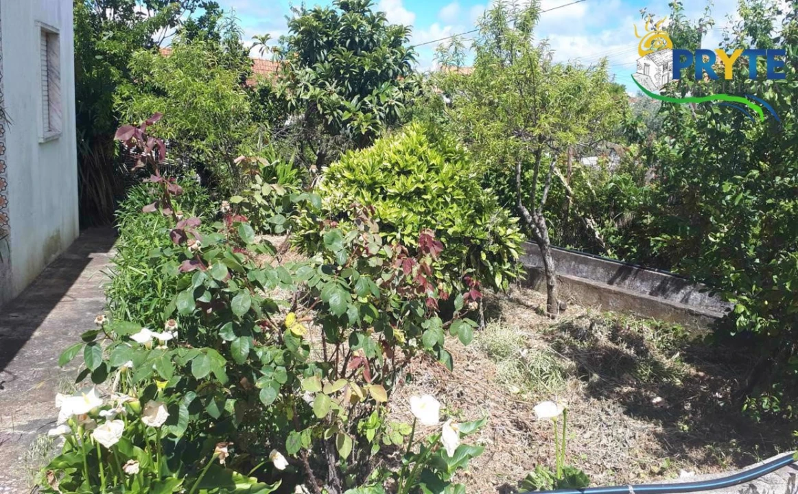 Quinta T3 para Venda em Cernache do Bonjardim, Nesperal e Palhais Foto 21