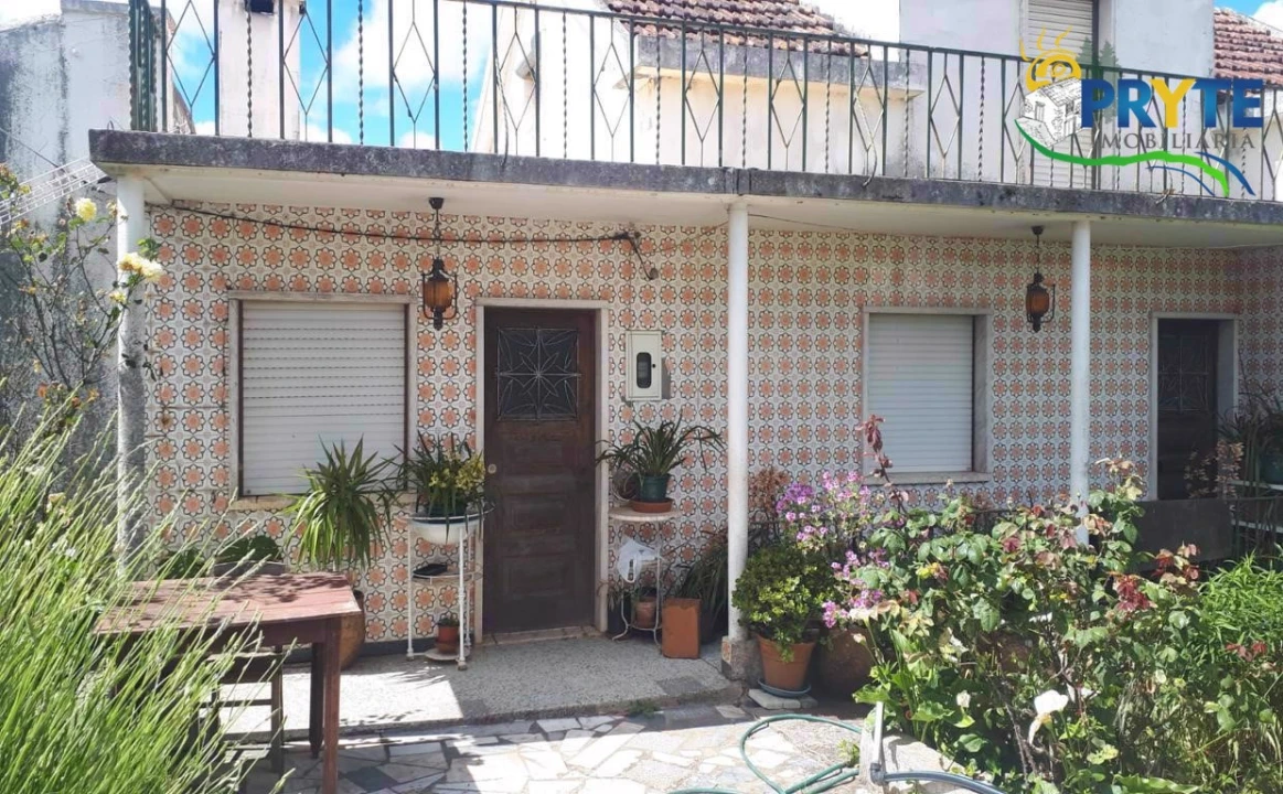 Quinta T3 para Venda em Cernache do Bonjardim, Nesperal e Palhais Foto 22