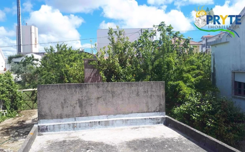 Quinta T3 para Venda em Cernache do Bonjardim, Nesperal e Palhais Foto 13