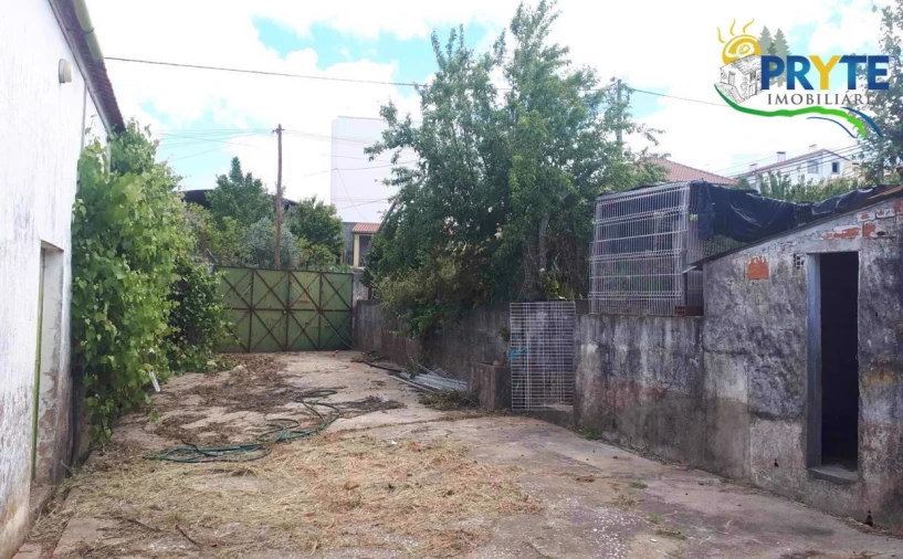 Quinta T3 para Venda em Cernache do Bonjardim, Nesperal e Palhais Foto 16