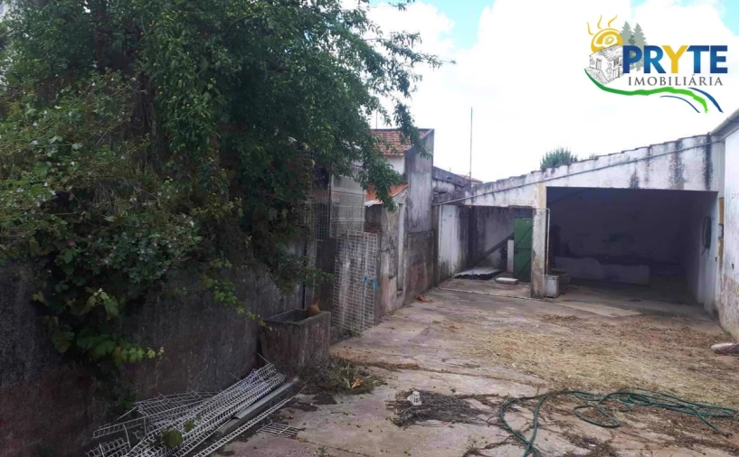 Quinta T3 para Venda em Cernache do Bonjardim, Nesperal e Palhais Foto 18