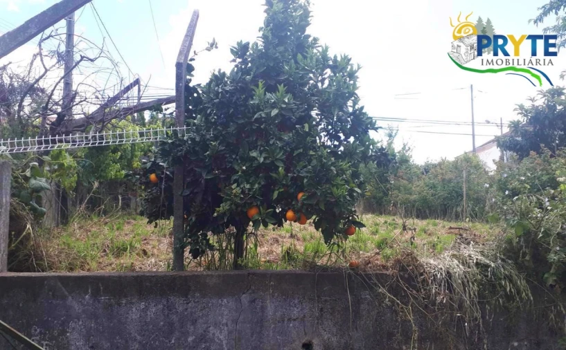 Quinta T3 para Venda em Cernache do Bonjardim, Nesperal e Palhais Foto 19