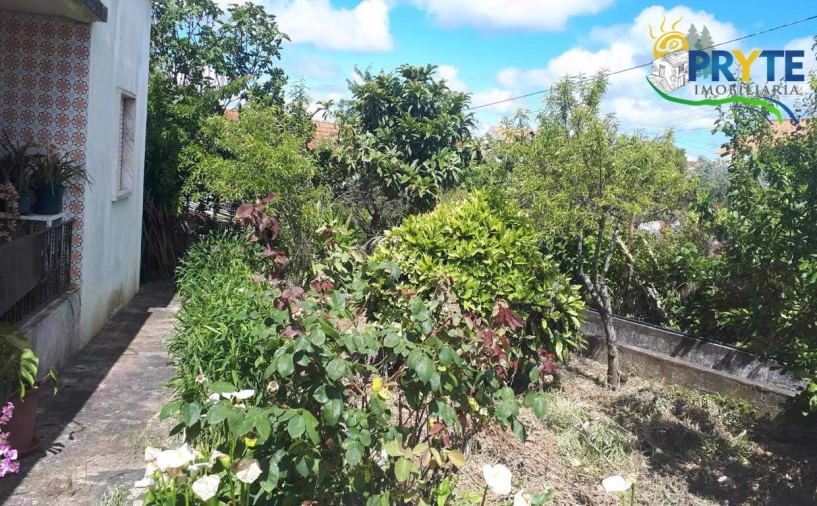 Quinta T3 para Venda em Cernache do Bonjardim, Nesperal e Palhais Foto 27