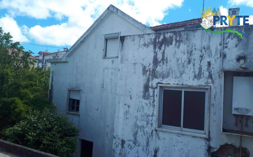 Quinta T3 para Venda em Cernache do Bonjardim, Nesperal e Palhais Foto 28