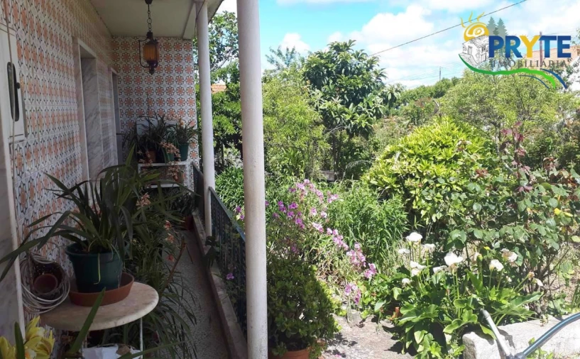 Quinta T3 para Venda em Cernache do Bonjardim, Nesperal e Palhais Foto 31