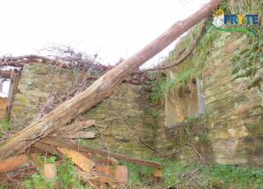 Terreno para Venda em Sertã