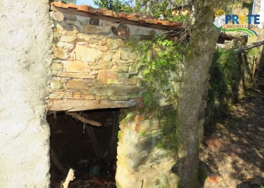 Terreno para Venda em Sertã