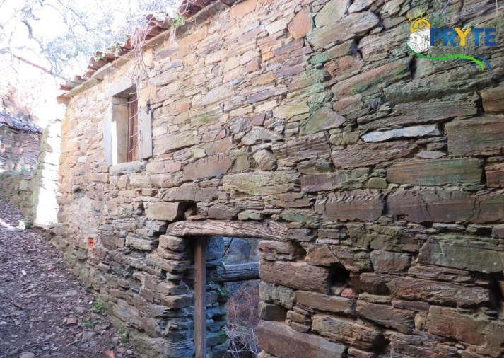 Terreno para Venda em Sertã Foto 4