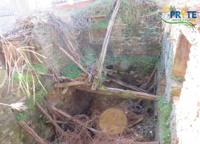 Terreno para Venda em Sertã Foto 9