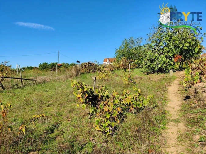 Terreno para Venda em Belver Foto 5