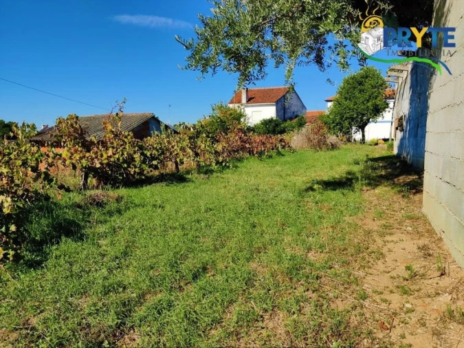 Terreno para Venda em Belver Foto 7