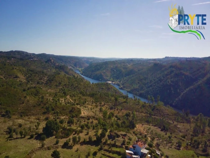 Terreno para Venda em Belver Foto 13