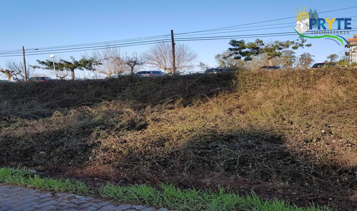 Terreno para Venda em Cernache do Bonjardim, Nesperal e Palhais Foto 3