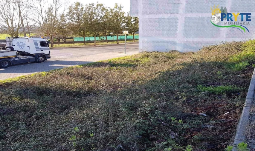 Terreno para Venda em Cernache do Bonjardim, Nesperal e Palhais Foto 6