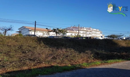 Terreno para Venda em Cernache do Bonjardim, Nesperal e Palhais