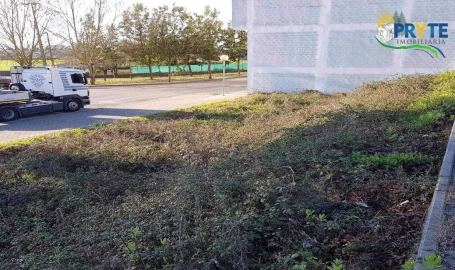 Terreno para Venda em Cernache do Bonjardim, Nesperal e Palhais