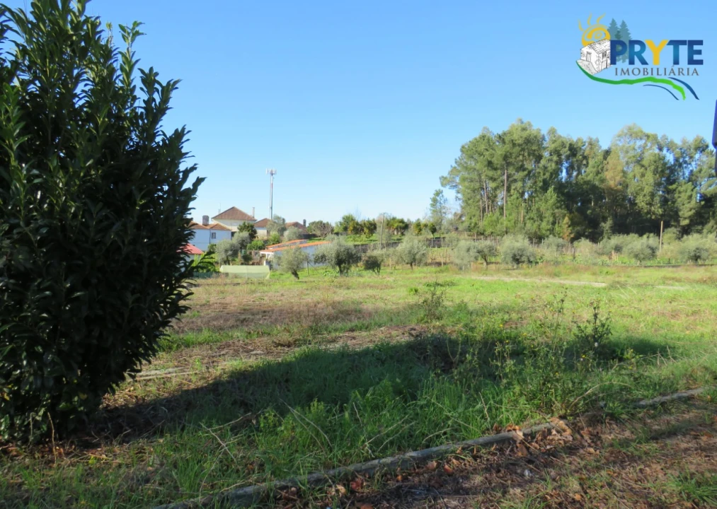 Terreno para Venda em Cernache do Bonjardim, Nesperal e Palhais Foto 3