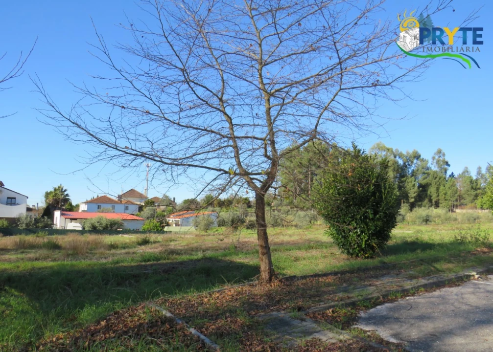 Terreno para Venda em Cernache do Bonjardim, Nesperal e Palhais Foto 5