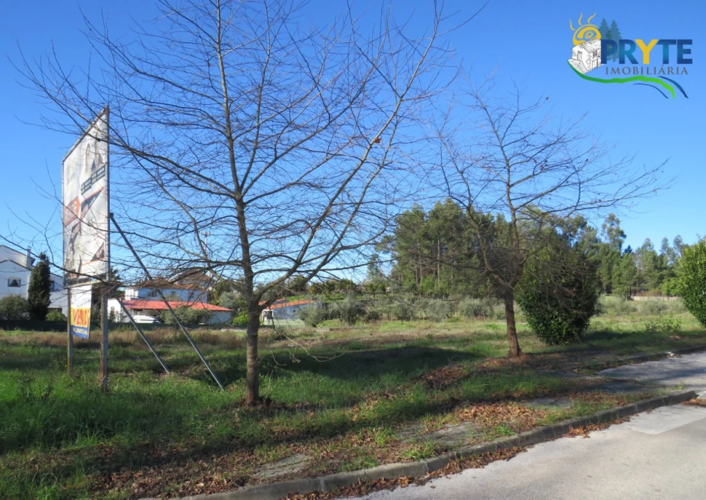 Terreno para Venda em Cernache do Bonjardim, Nesperal e Palhais Foto 6