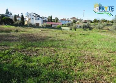 Terreno para Venda em Cernache do Bonjardim, Nesperal e Palhais