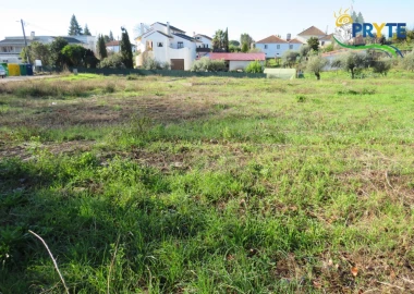 Terreno para Venda em Cernache do Bonjardim, Nesperal e Palhais