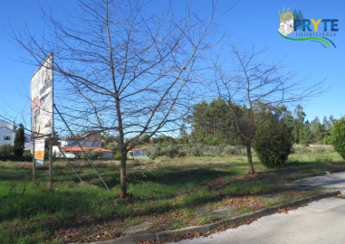 Terreno para Venda em Cernache do Bonjardim, Nesperal e Palhais