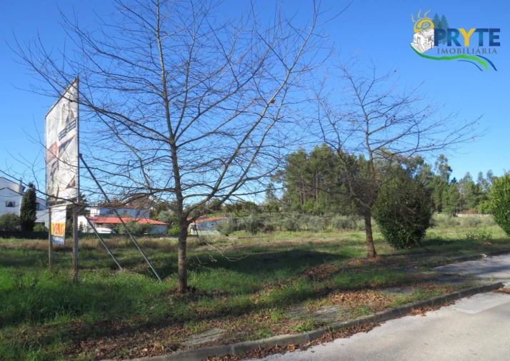 Terreno para Venda em Cernache do Bonjardim, Nesperal e Palhais Foto 6