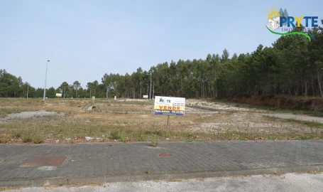 Terreno para Venda em Cernache do Bonjardim, Nesperal e Palhais