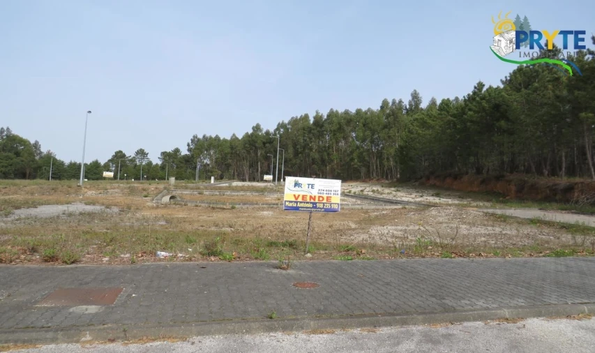 Terreno para Venda em Cernache do Bonjardim, Nesperal e Palhais Foto 4