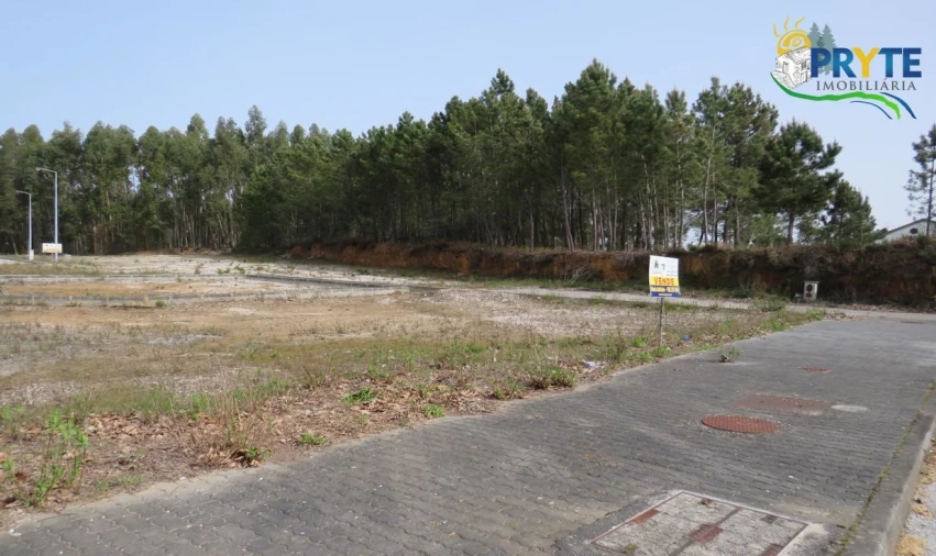 Terreno para Venda em Cernache do Bonjardim, Nesperal e Palhais Foto 5
