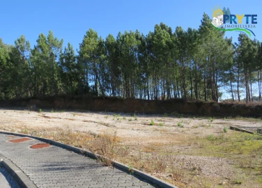 Terreno para Venda em Cernache do Bonjardim, Nesperal e Palhais