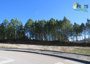 Terreno para Venda em Cernache do Bonjardim, Nesperal e Palhais