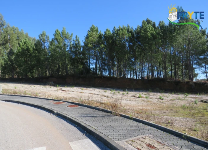 Terreno para Venda em Cernache do Bonjardim, Nesperal e Palhais Foto 2
