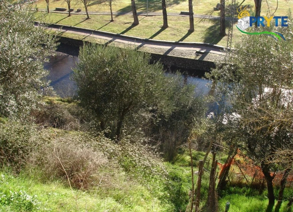 Terreno para Venda em Sertã Foto 1