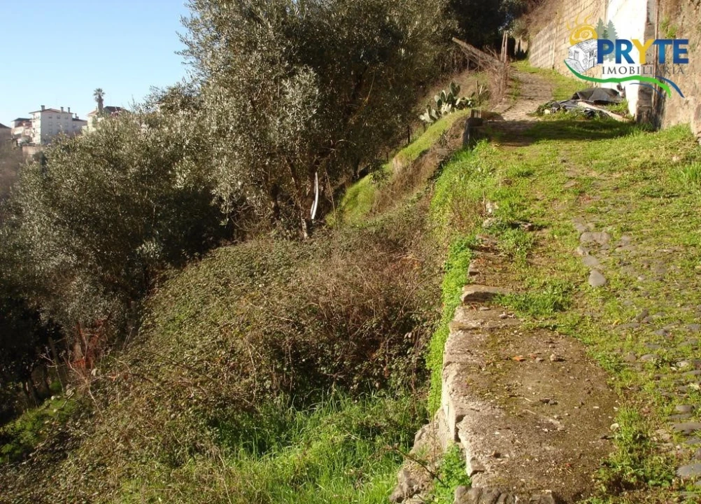 Terreno para Venda em Sertã Foto 3