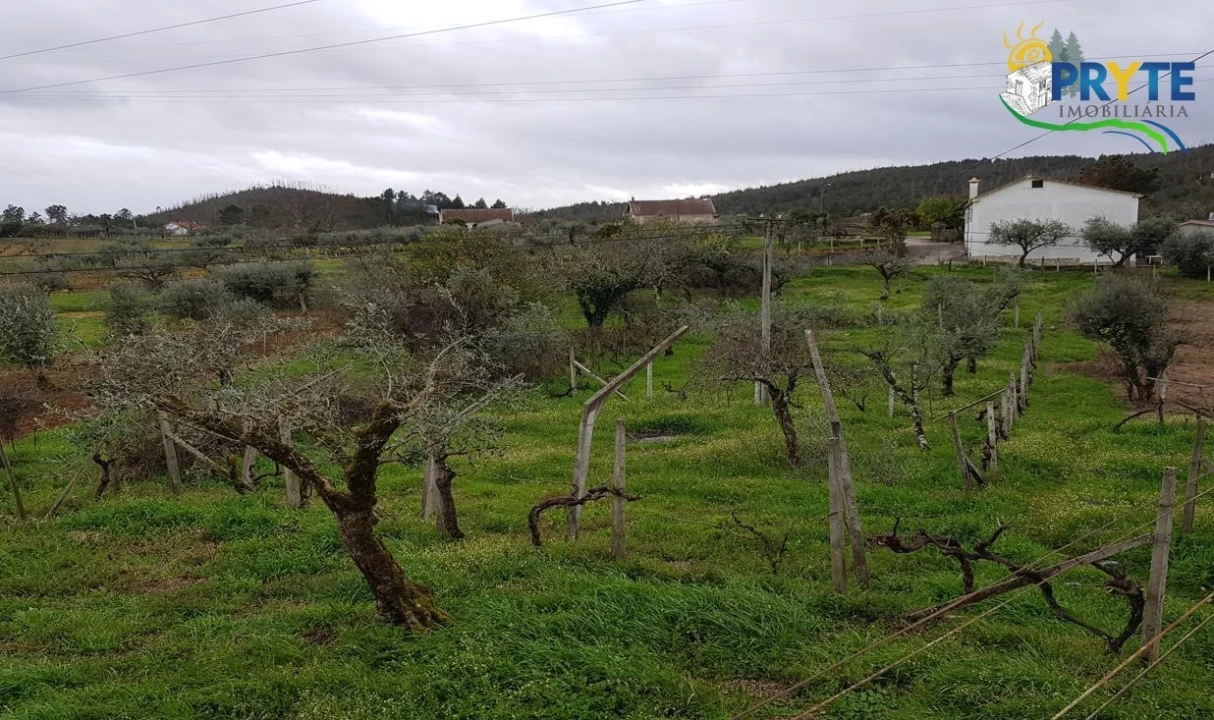 Moradia T3 para Venda em Cernache do Bonjardim, Nesperal e Palhais Foto 3