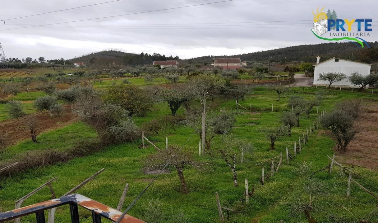 Moradia T3 para Venda em Cernache do Bonjardim, Nesperal e Palhais Foto 4