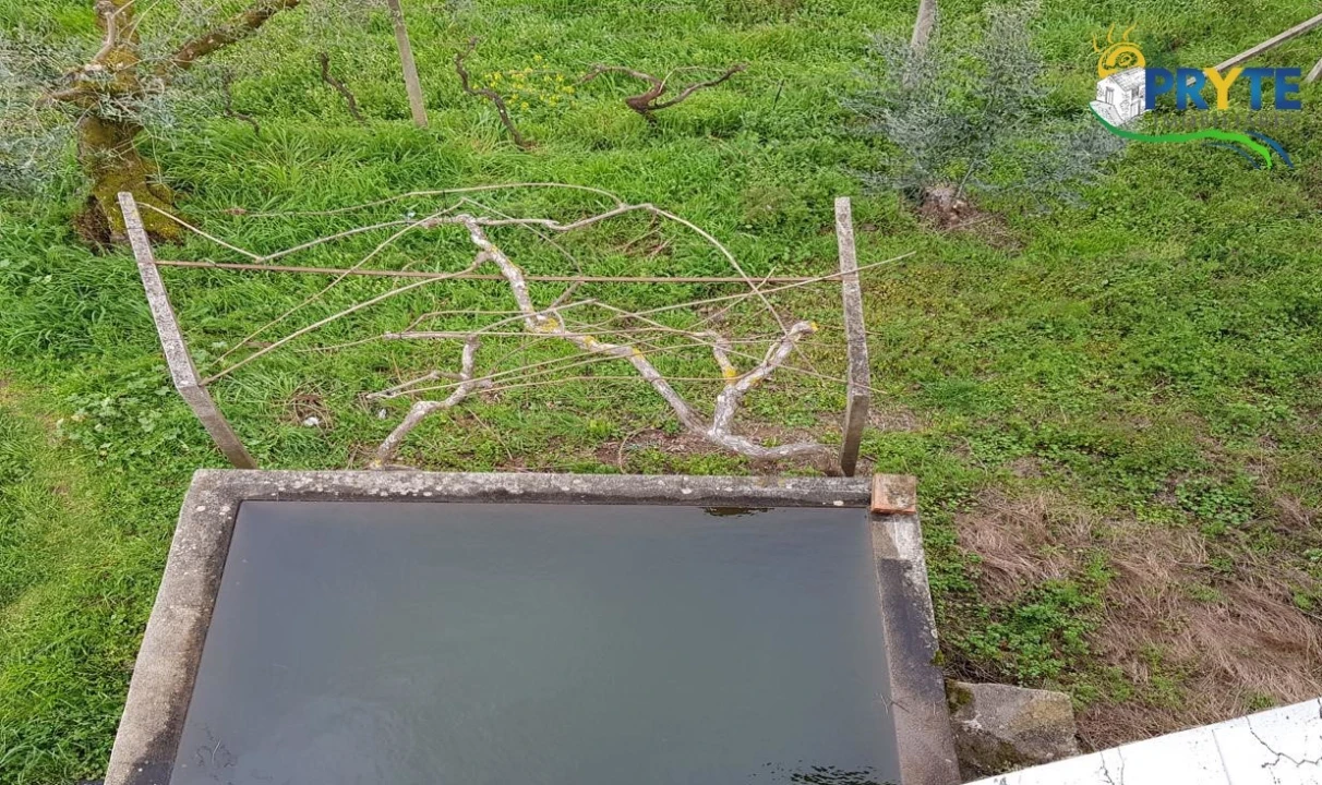 Moradia T3 para Venda em Cernache do Bonjardim, Nesperal e Palhais Foto 7