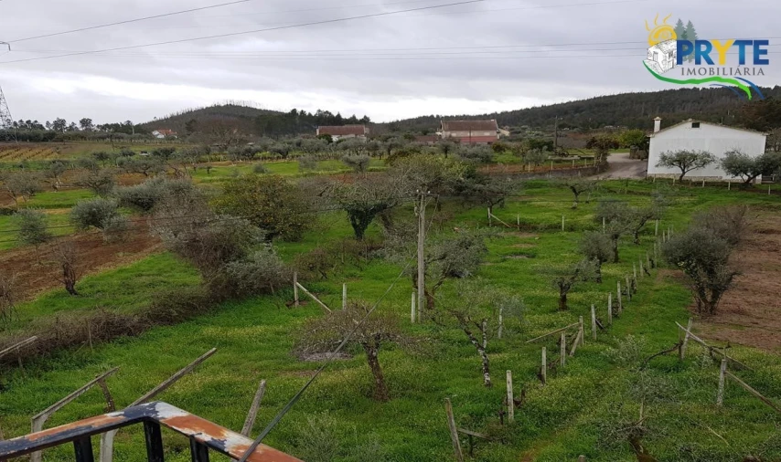 Moradia T3 para Venda em Cernache do Bonjardim, Nesperal e Palhais Foto 4